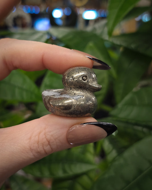 Pyrite Duckie