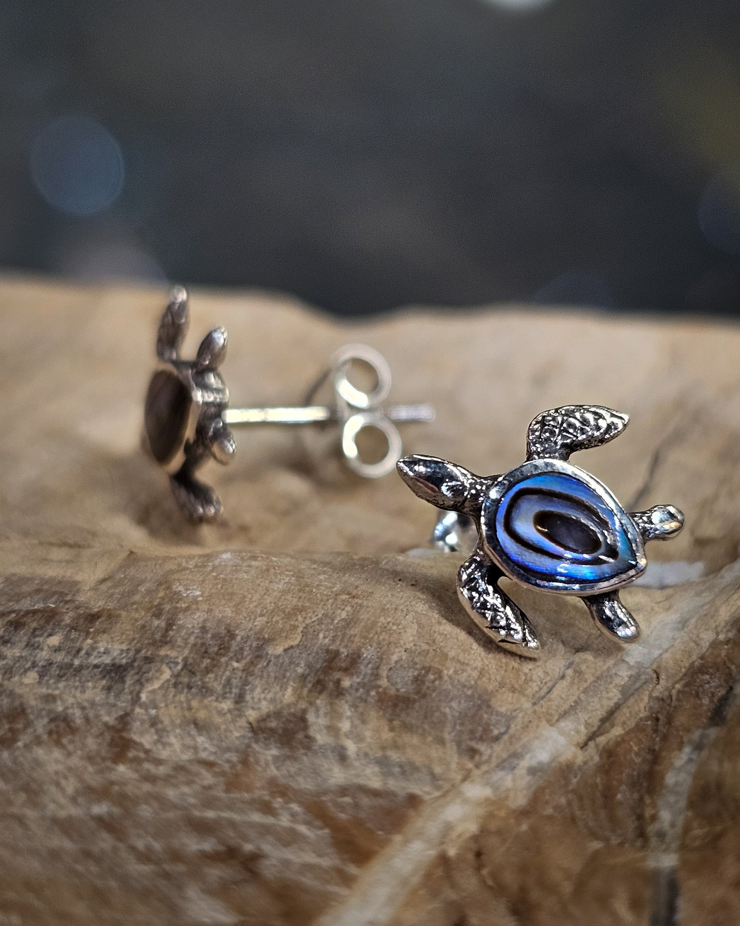 Turtle Paua Studs