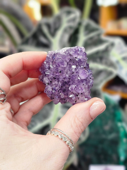 Amethyst Pine Cluster #4